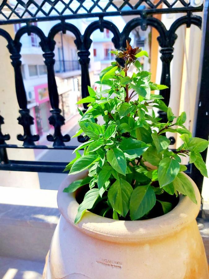 Sitia City Center Luxury Apartment Εξωτερικό φωτογραφία